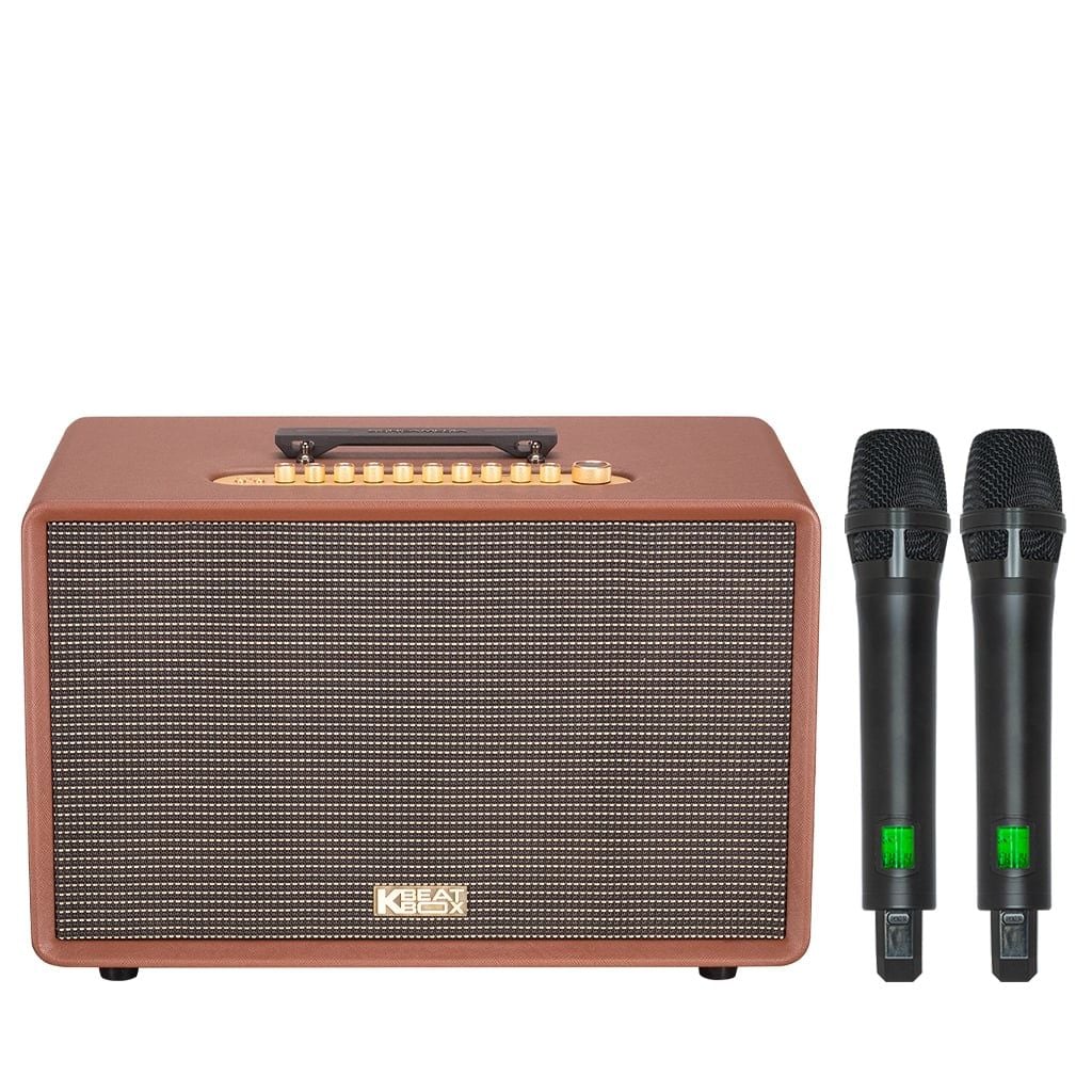 Loa xách tay Soncamedia FLAC 36 ULTIMATE RMS 500W Bass20