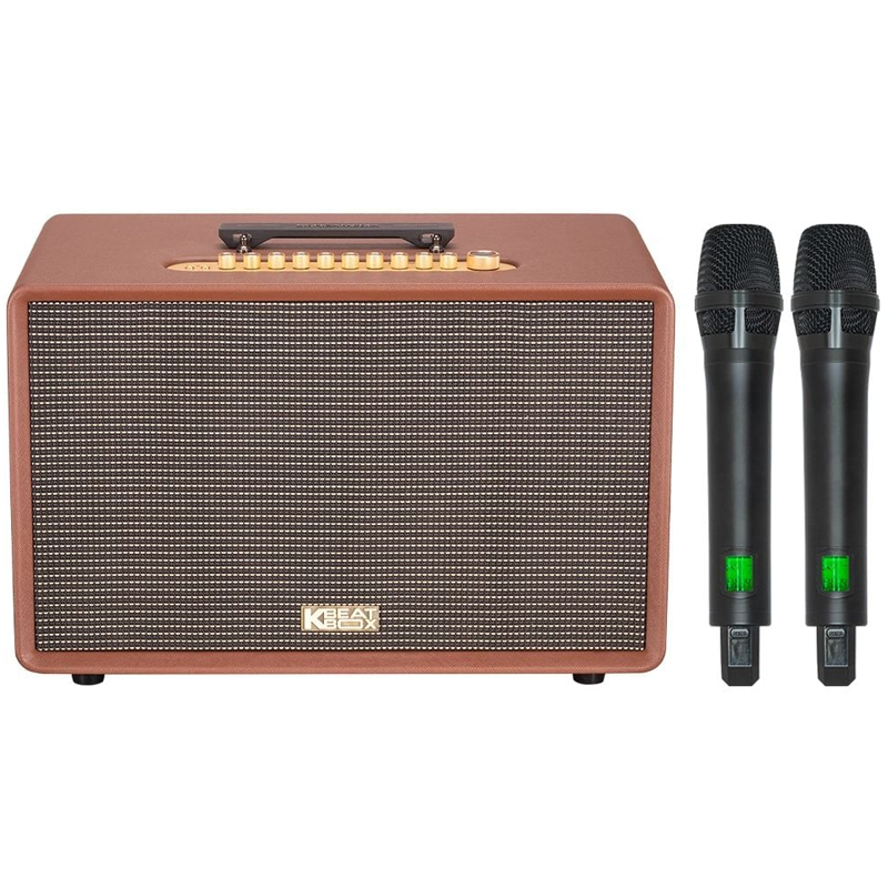 Loa xách tay Soncamedia FLAC 39 RMS 500W Bass25