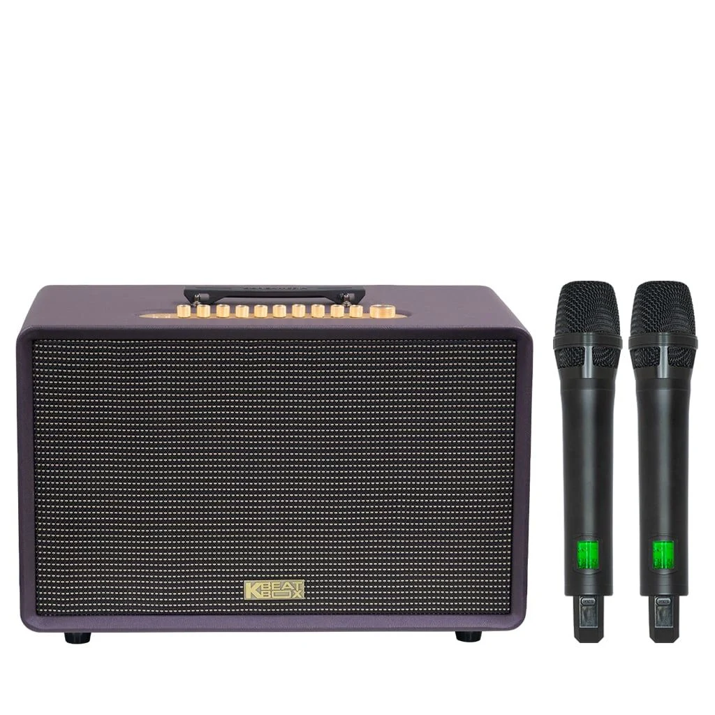 Loa xách tay Soncamedia FLAC 39 RMS 500W Bass25