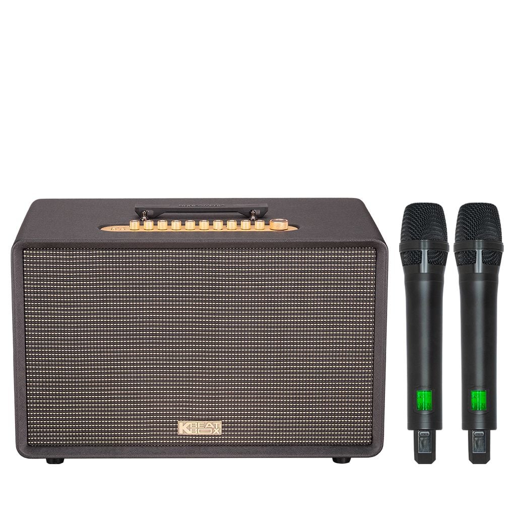 Loa xách tay Soncamedia FLAC 39 RMS 500W Bass25