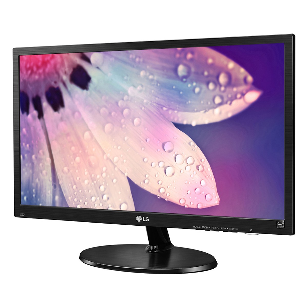 Màn hình LG 20M39H-B 19.5Inch LED