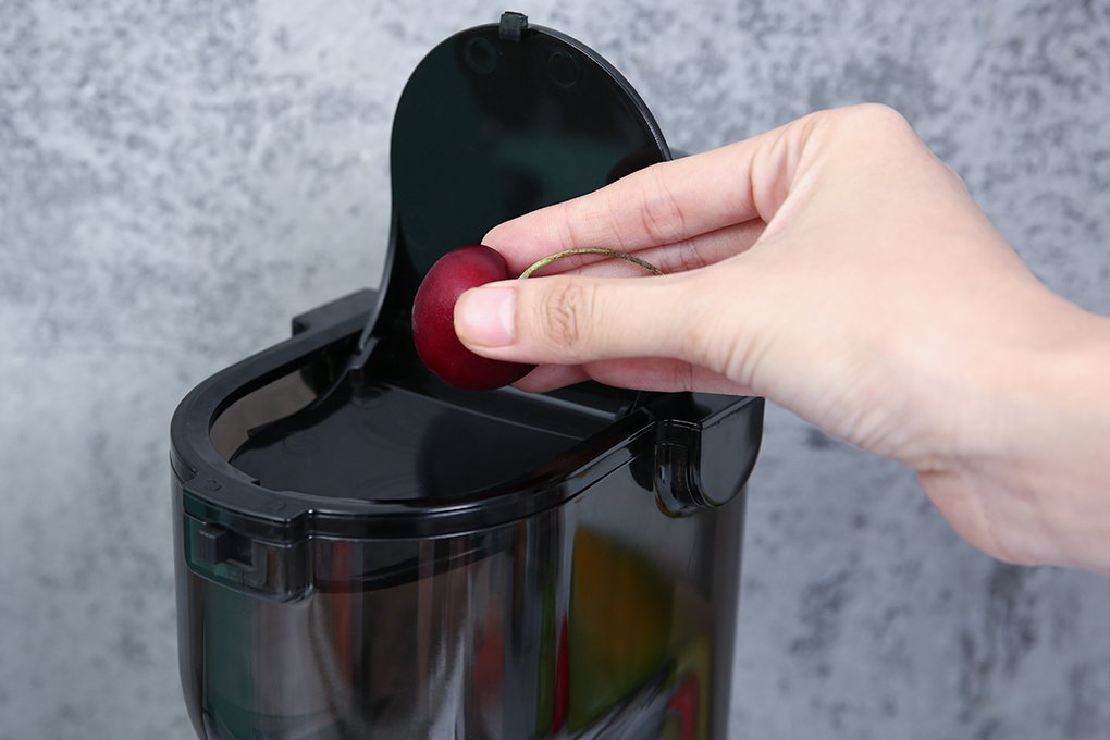 Máy ép trái cây tốc độ chậm KALITE KL-598