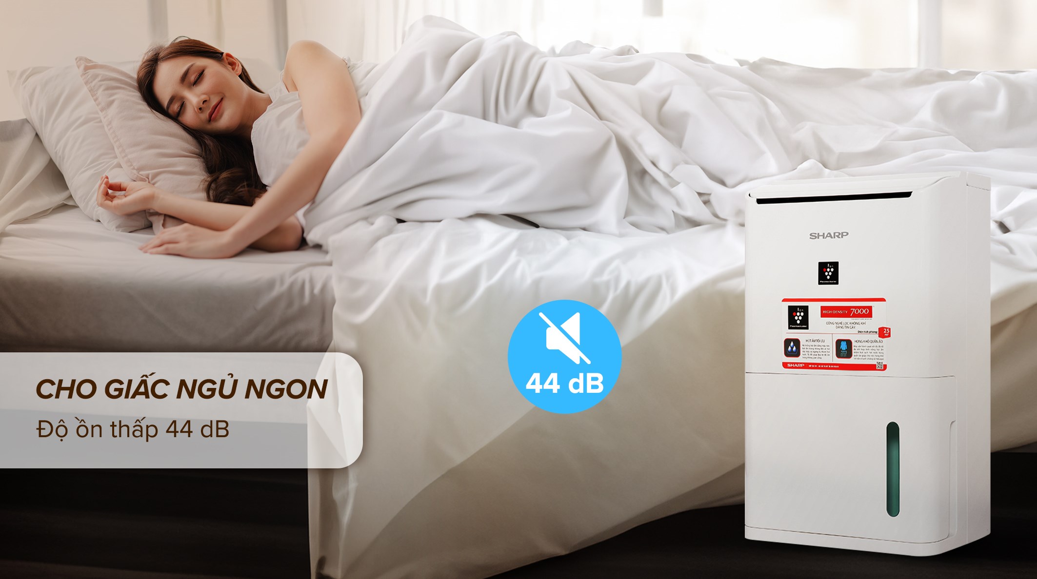 Máy hút ẩm 12L Sharp DW-D12A-W