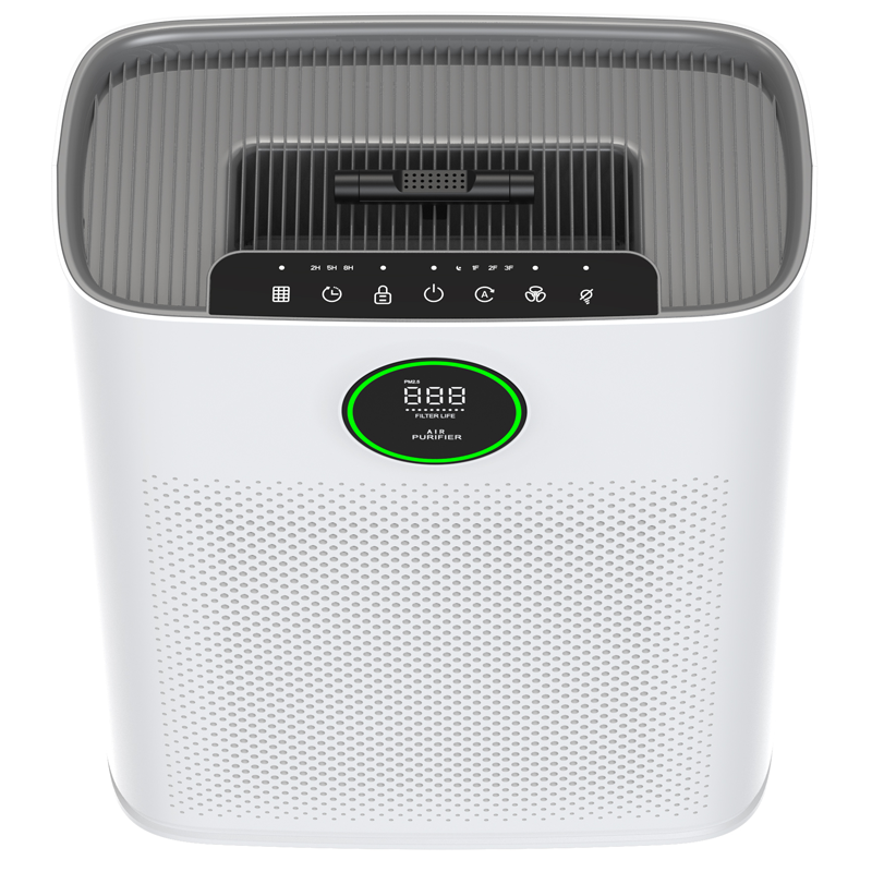 Máy lọc không khí ROLER RAP-3001