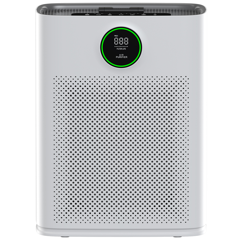 Máy lọc không khí ROLER RAP-3001