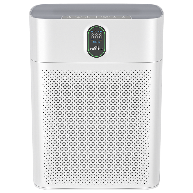 Máy lọc không khí ROLER RAP-3002D