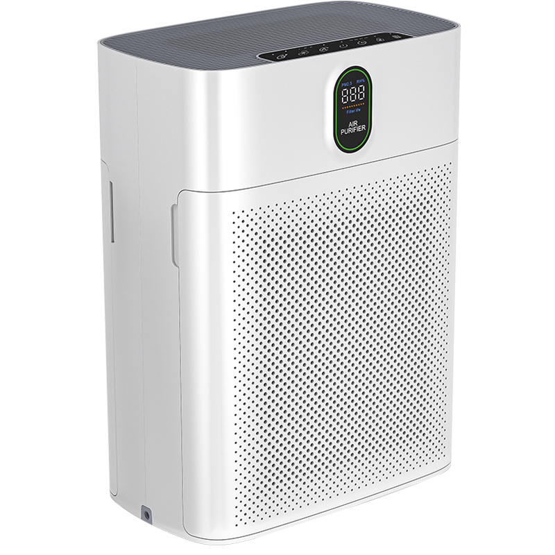 Máy lọc không khí ROLER RAP-3002D