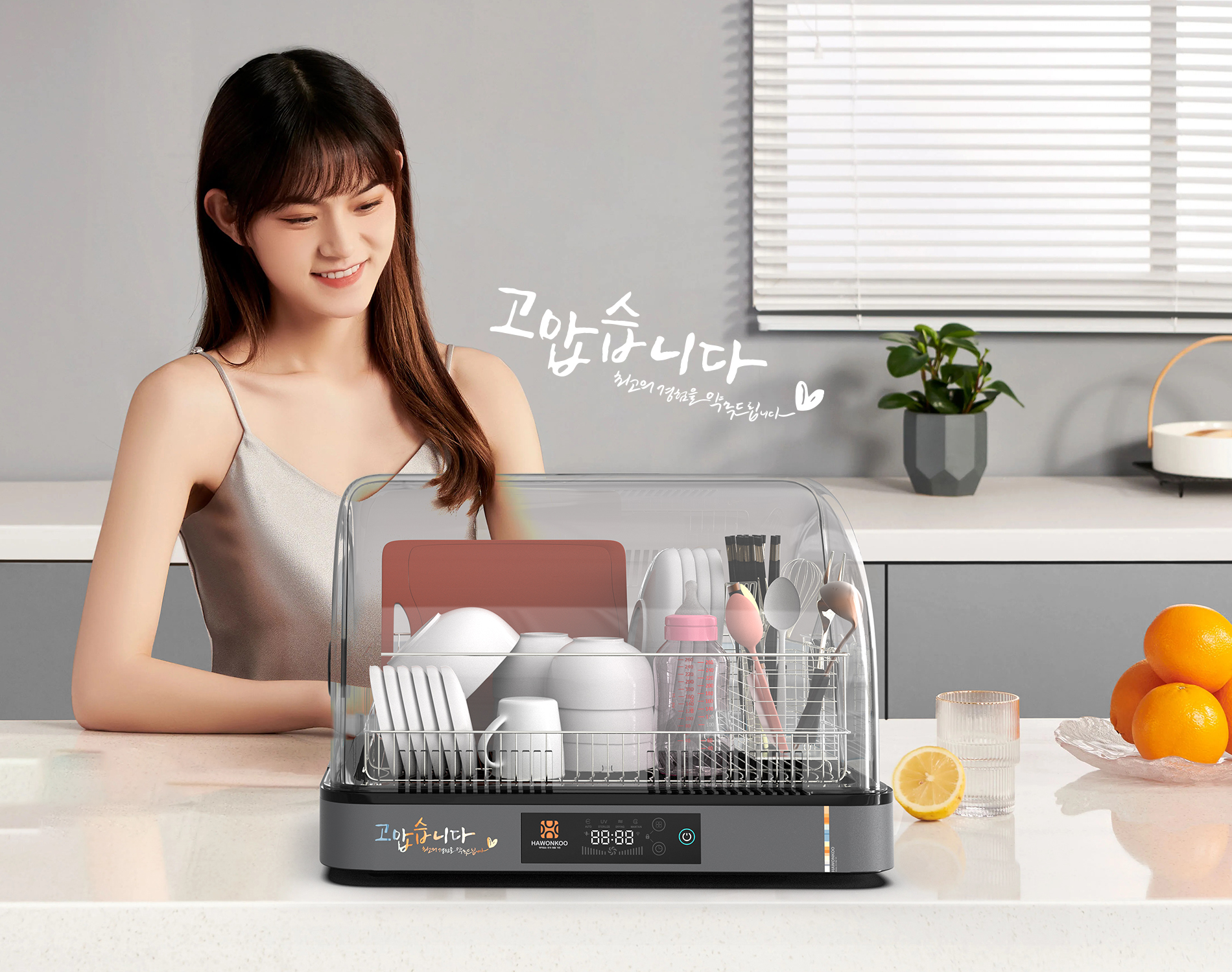 Máy sấy bát điện tử 45L Hawonkoo DDH2020/202- Thailand