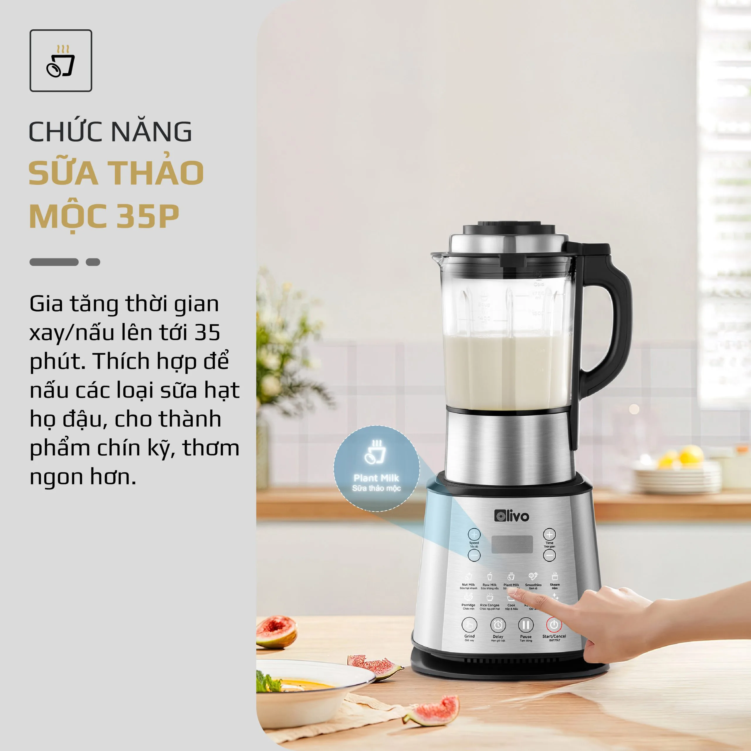 Máy xay nấu Olivo X20 Plus
