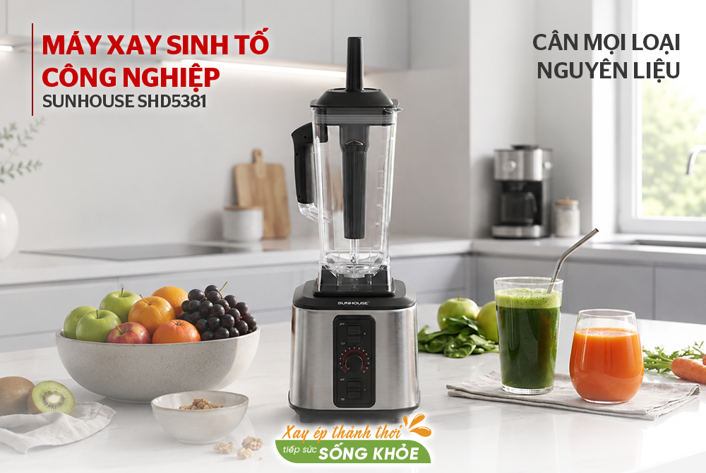Máy xay sinh tố công nghiệp Sunhouse SHD5381