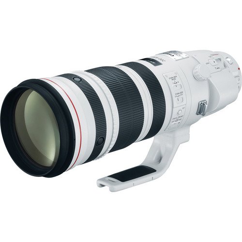 Ống kính Canon EF200-400mm f/4L IS USM Extender 1.4x (Hàng chính hãng LBM)