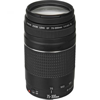 Ống kính Canon EF75-300mm f/4-5.6 III USM (Hàng chính hãng LBM)