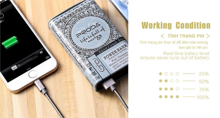 Pin sạc Remax Proda 10.000 mAh (PPL-24/ PPL-11) - Bảo hành 30 ngày
