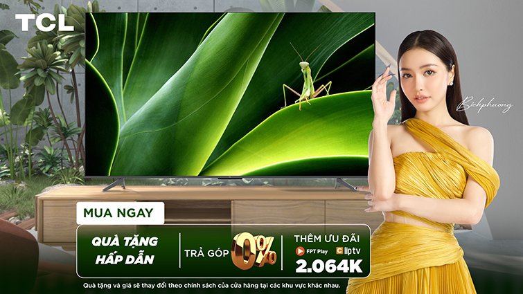 QLED Tivi 4K TCL 65C645 65 inch Google TV