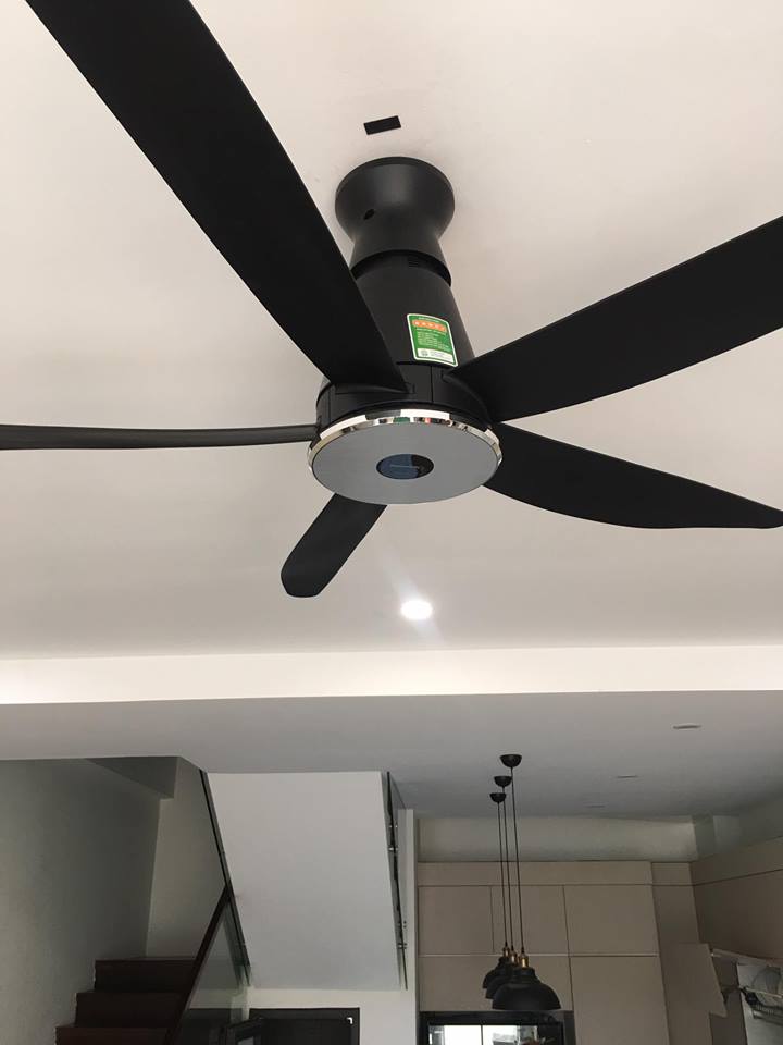 Quạt trần 5 cánh Panasonic DC F-60XDN-Đen
