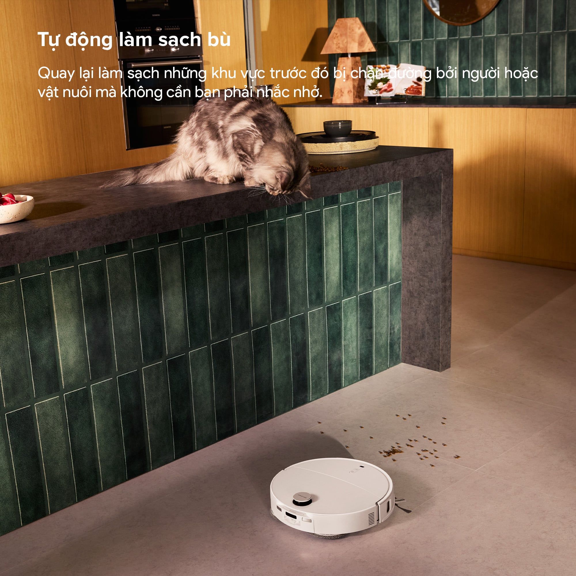 Robot hút bụi lau nhà giặt giẻ Roborock Qrevo Edge 2 Trắng