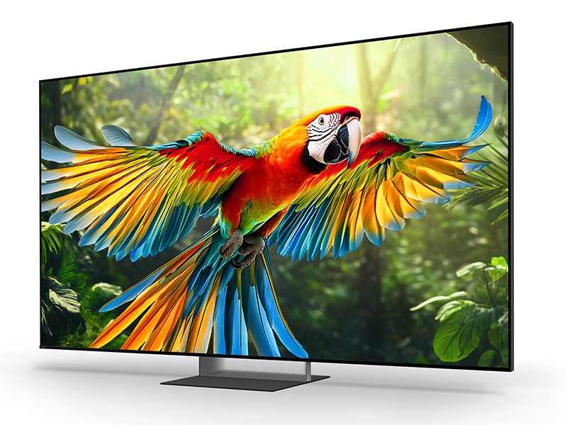 Sony Google TV True RGB BRAVIA 7 II 55 Inch K-55XR70M2