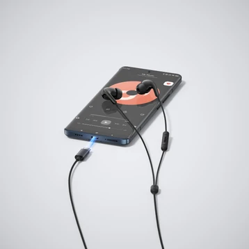 Tai nghe có dây nhét tai Xiaomi Type-C Earphones_Black