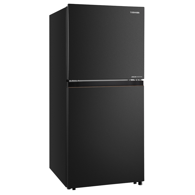 Toshiba Inverter 182 Lít GR-RT236WE-PMV(68)