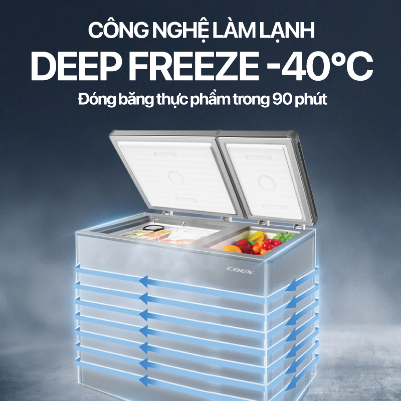 Tủ đông 2 cửa 220L Coex CF-4017G2D
