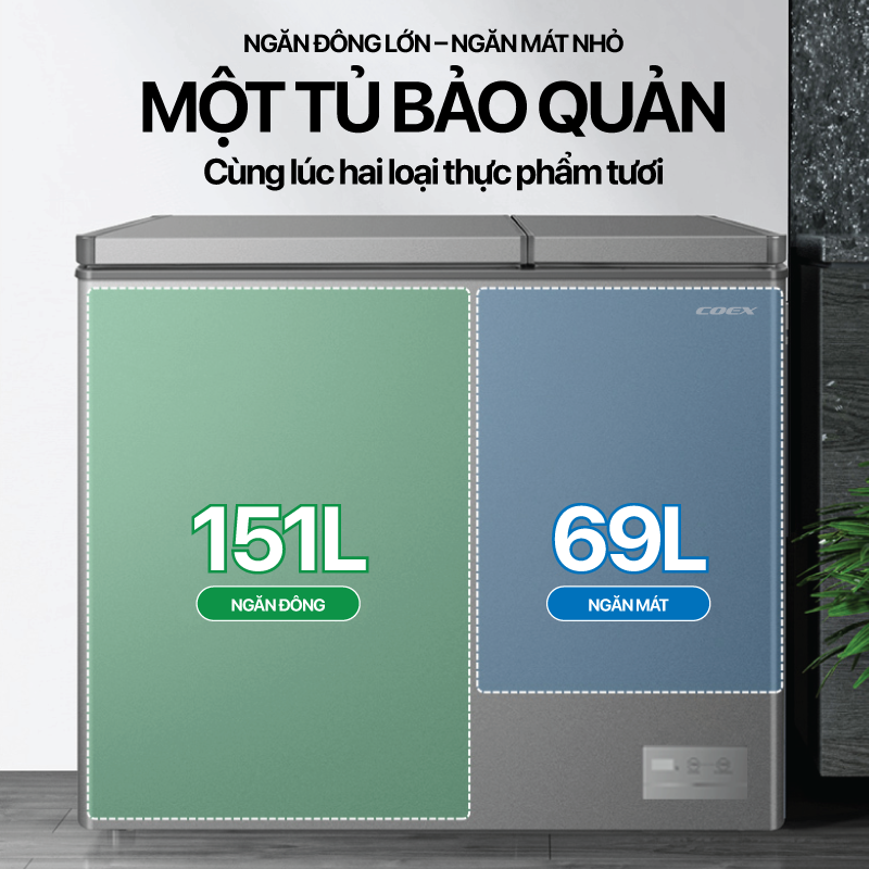 Tủ đông 2 cửa 220L Coex CF-4017G2D