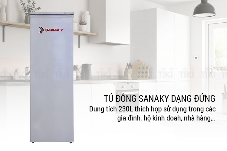 Tủ đông Sanaky 230L VH 230HY