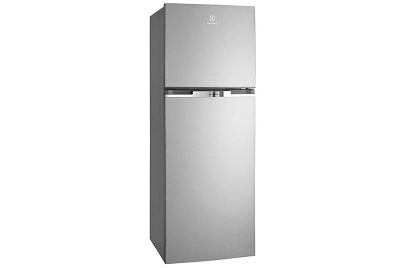Tủ lạnh Electrolux ETB2300MG-XVN - 246 Lít Inverter