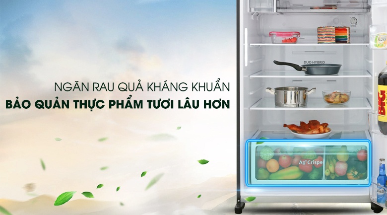 Tủ lạnh 2 cánh Toshiba GR-AG66VA(GG) 608L,Inverter