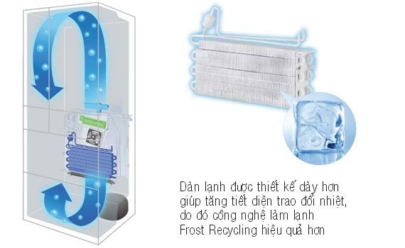 Tủ lạnh 6 cánh Hitachi R-SF57CMS - 565 lít Inverter
