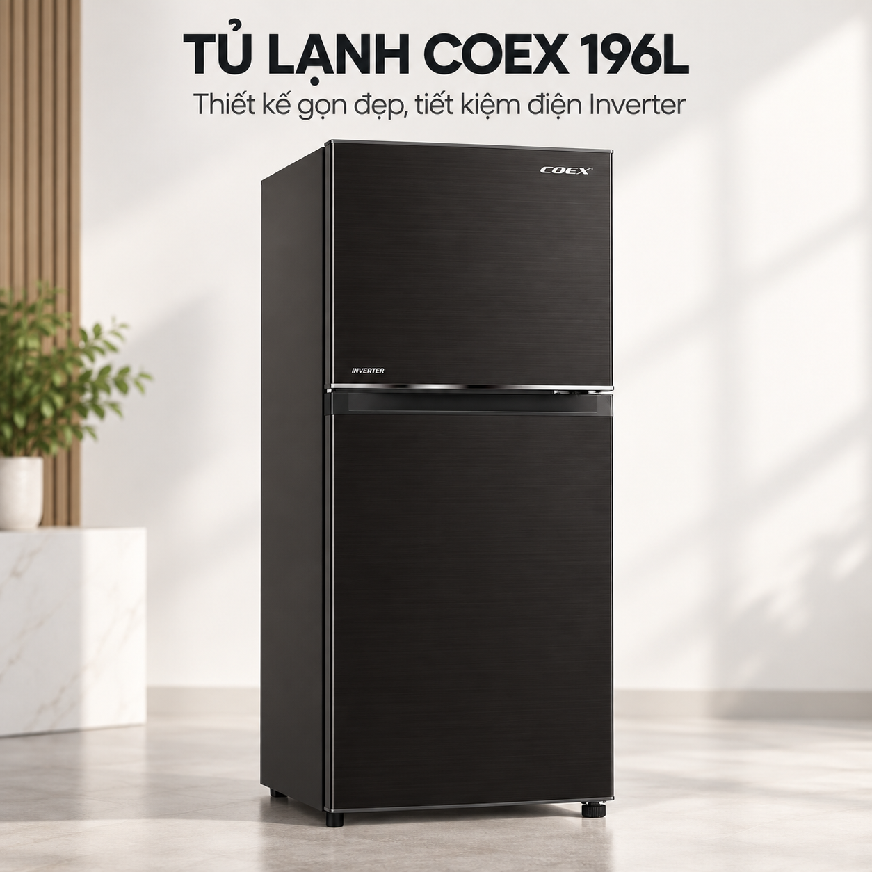 Tủ lạnh Coex 2 cửa Inverter 236 lít RT-4004BS