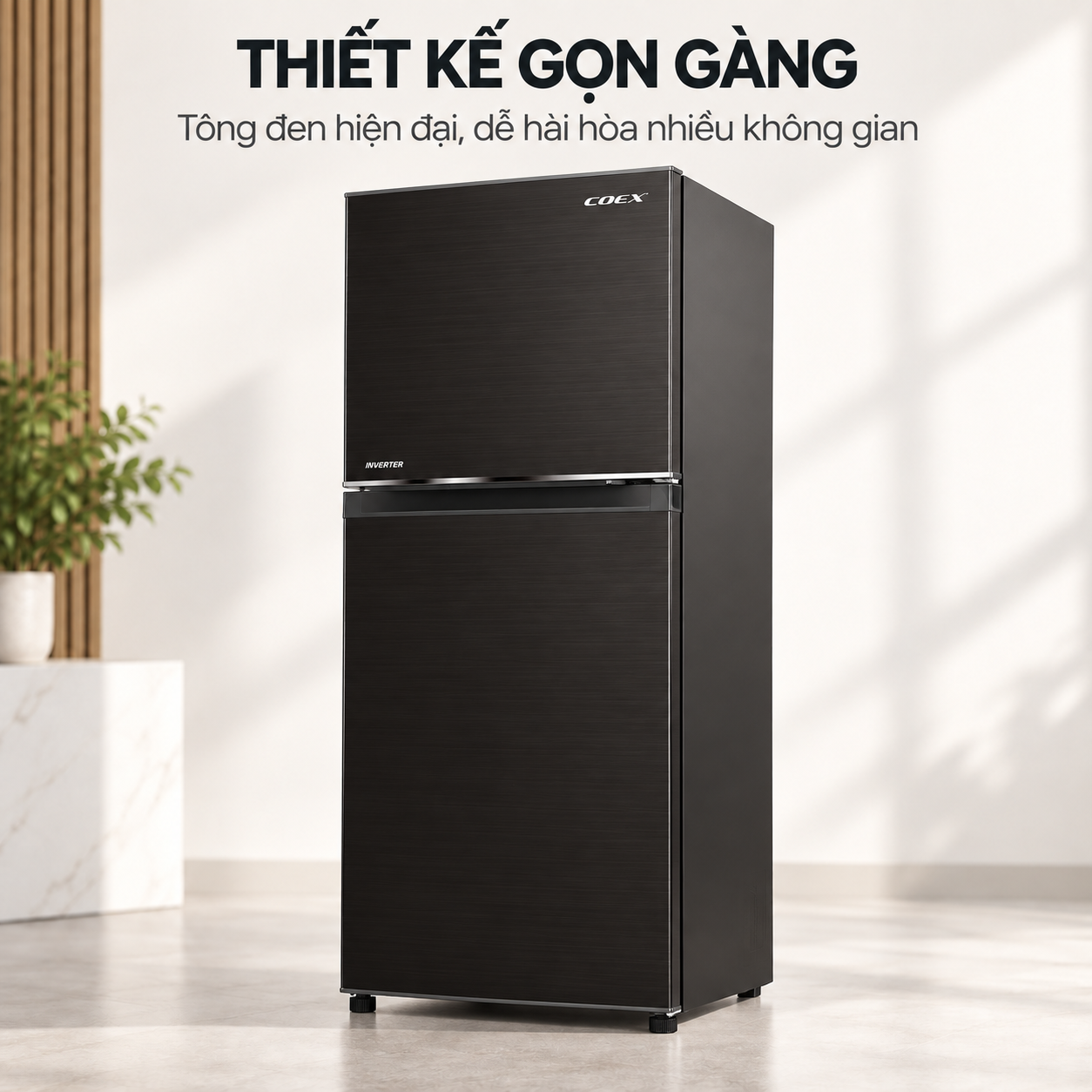 Tủ lạnh Coex 2 cửa Inverter 236 lít RT-4004BS