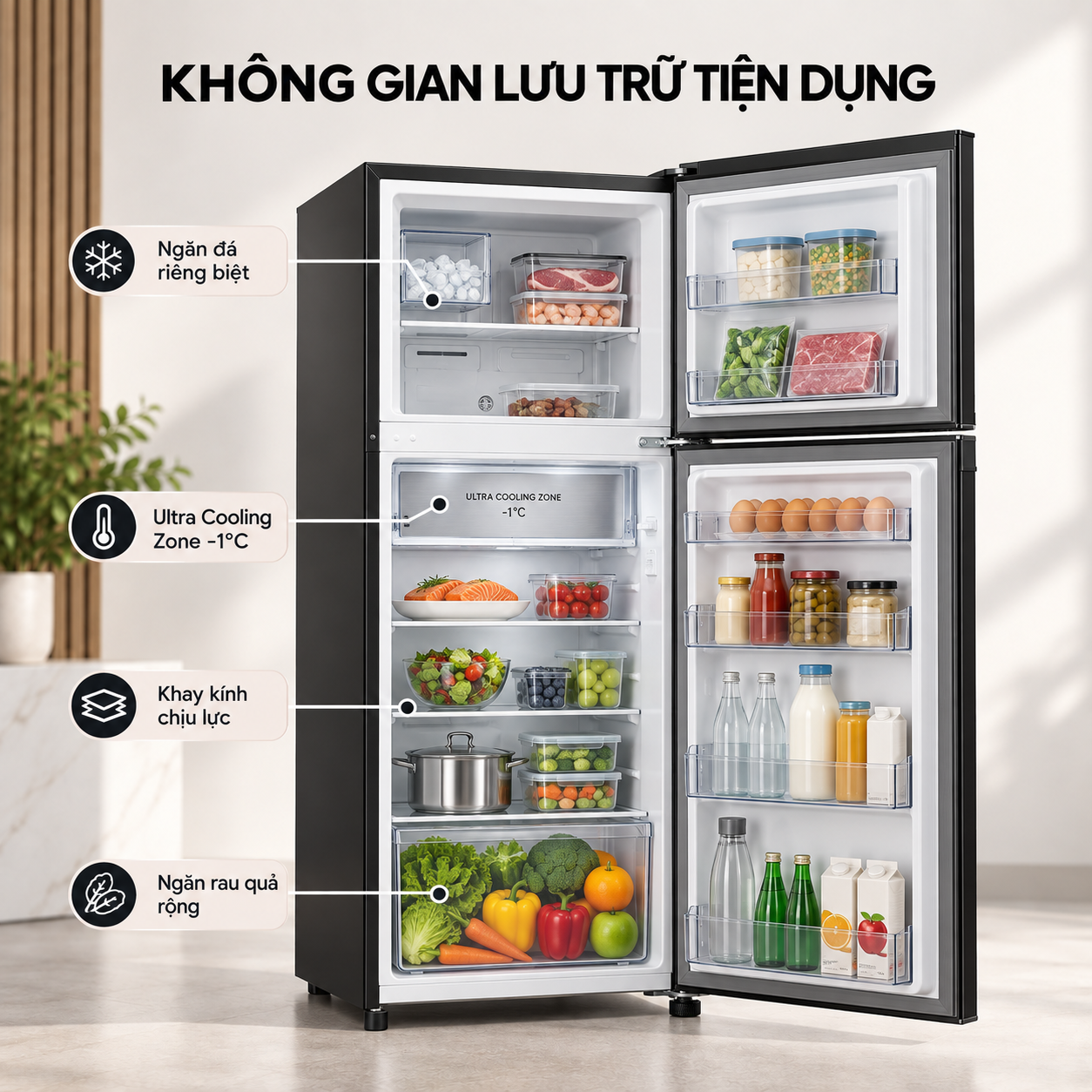 Tủ lạnh Coex 2 cửa Inverter 236 lít RT-4004BS