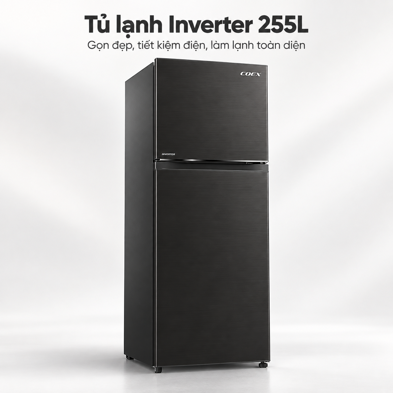 Tủ lạnh Coex 2 cửa Inverter 255 lít RT-4005BS