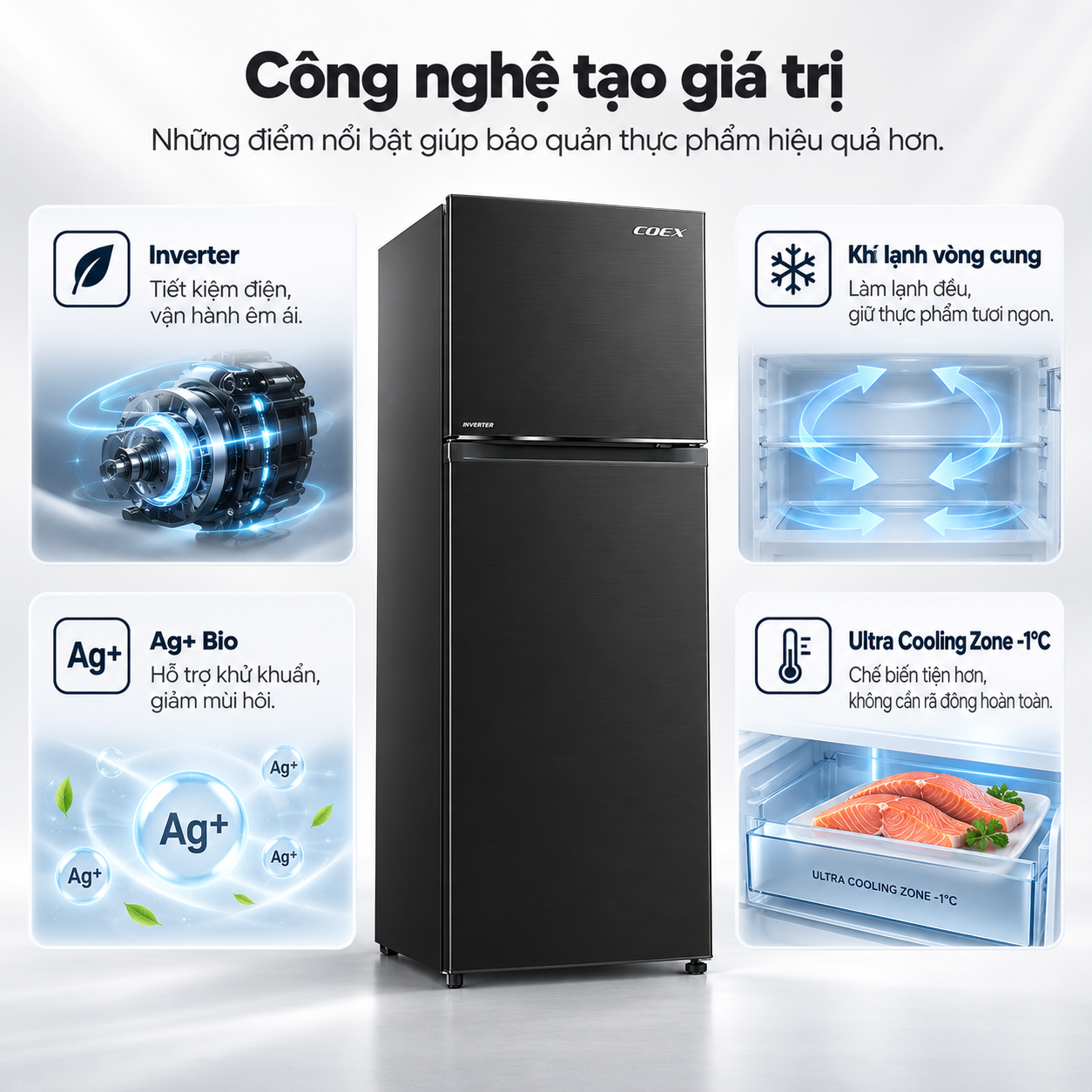 Tủ lạnh Coex 2 cửa Inverter 255 lít RT-4005BS