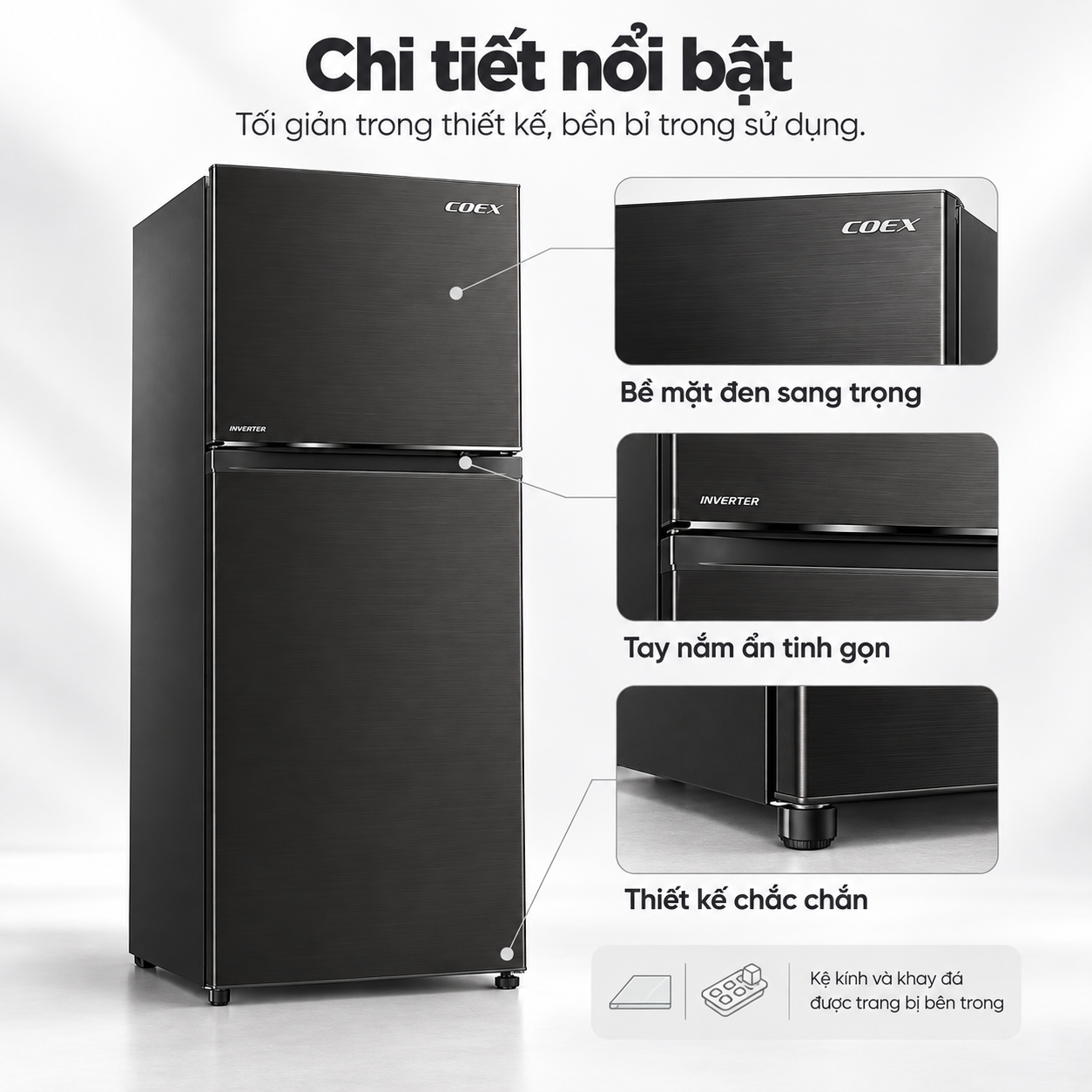 Tủ lạnh Coex 2 cửa Inverter 255 lít RT-4005BS