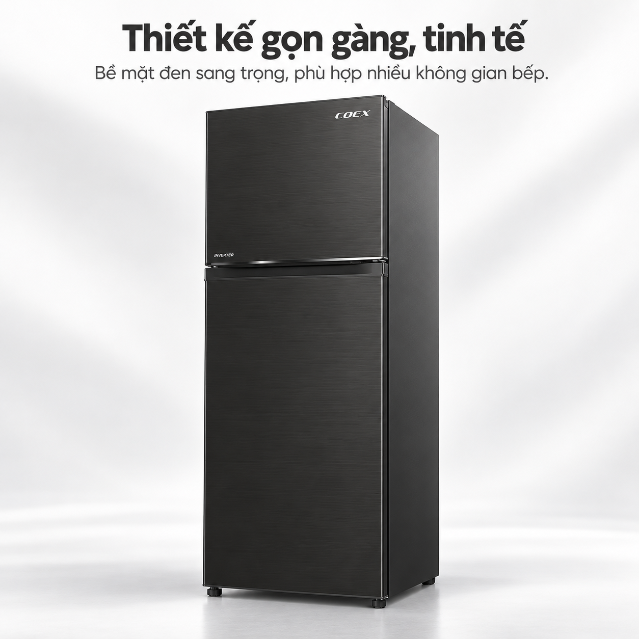 Tủ lạnh Coex 2 cửa Inverter 255 lít RT-4005BS