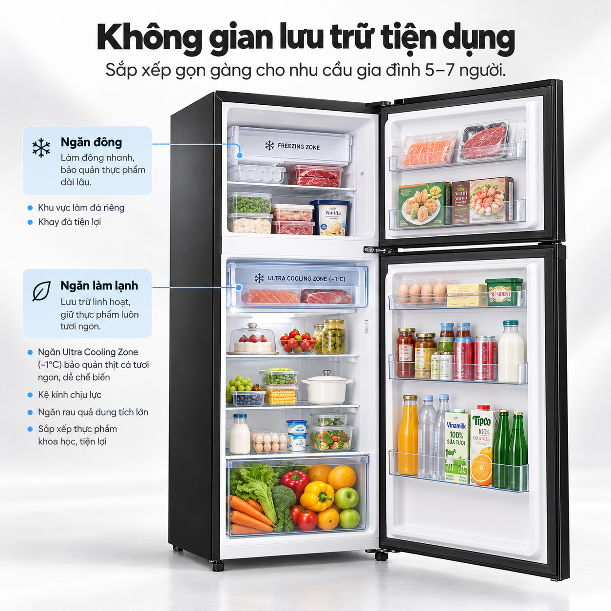 Tủ lạnh Coex 2 cửa Inverter 255 lít RT-4005BS