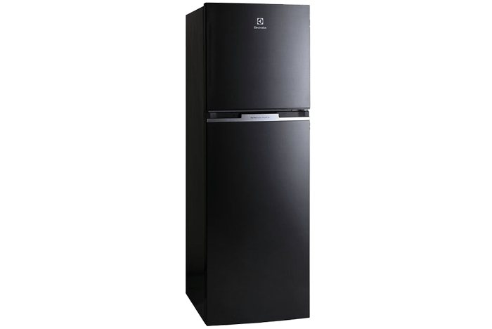 Tủ lạnh Electrolux ETB2600BG - 254 Lít Inverter