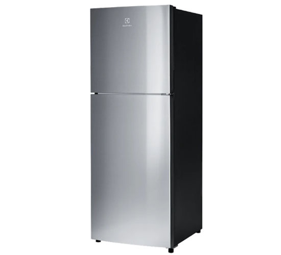 Tủ lạnh Electrolux ETB2802J-A Inverter 256L