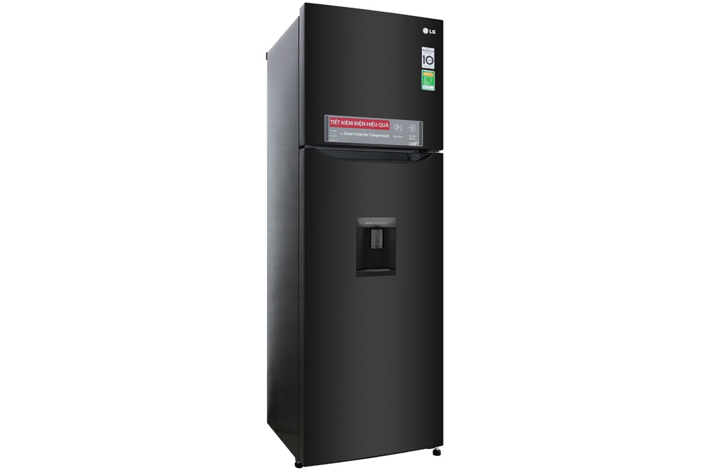 Tủ lạnh LG 255 lít GN-D255BL Smart Inverter