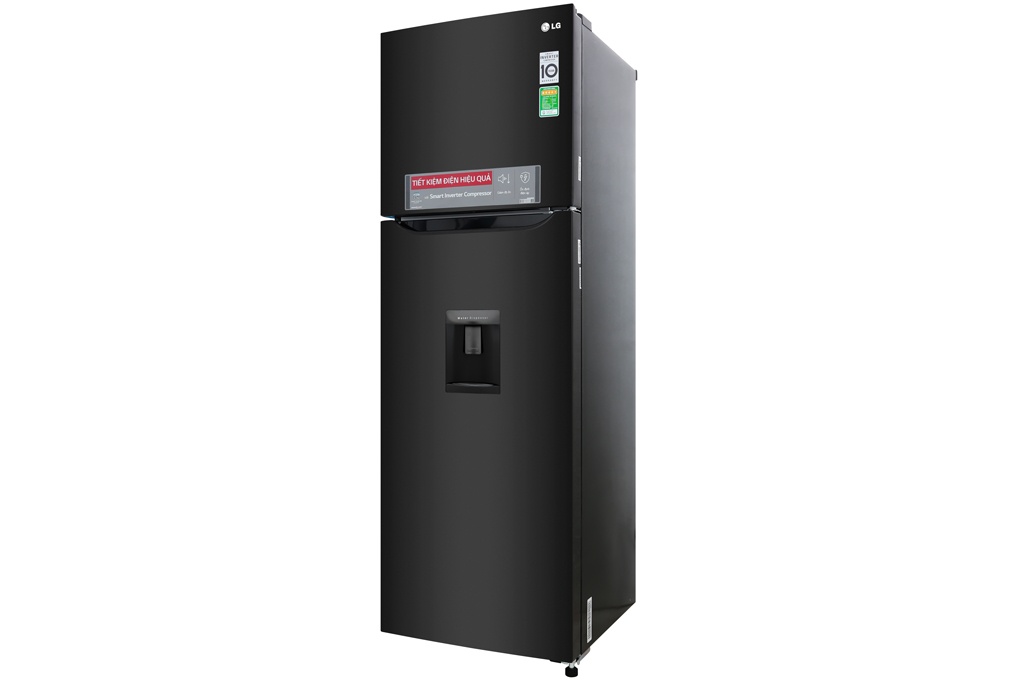 Tủ lạnh LG 255 lít GN-D255BL Smart Inverter