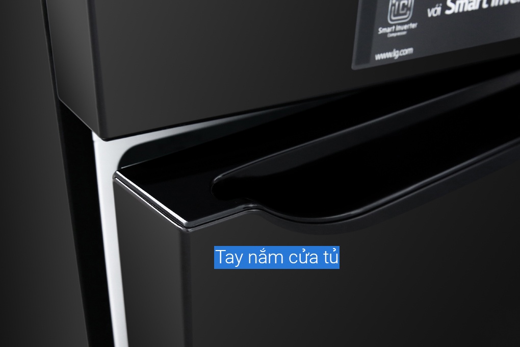 Tủ lạnh LG 255 lít GN-D255BL Smart Inverter