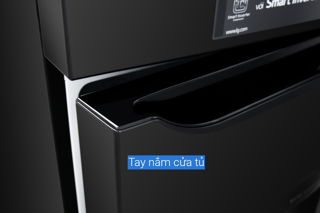Tủ lạnh LG 315 lít GN-D315BL Smart Inverter