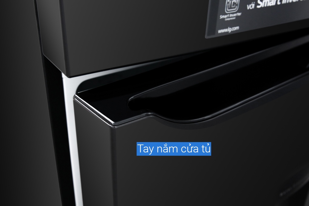 Tủ lạnh LG 393 lít GN-D422BL Smart Inverter