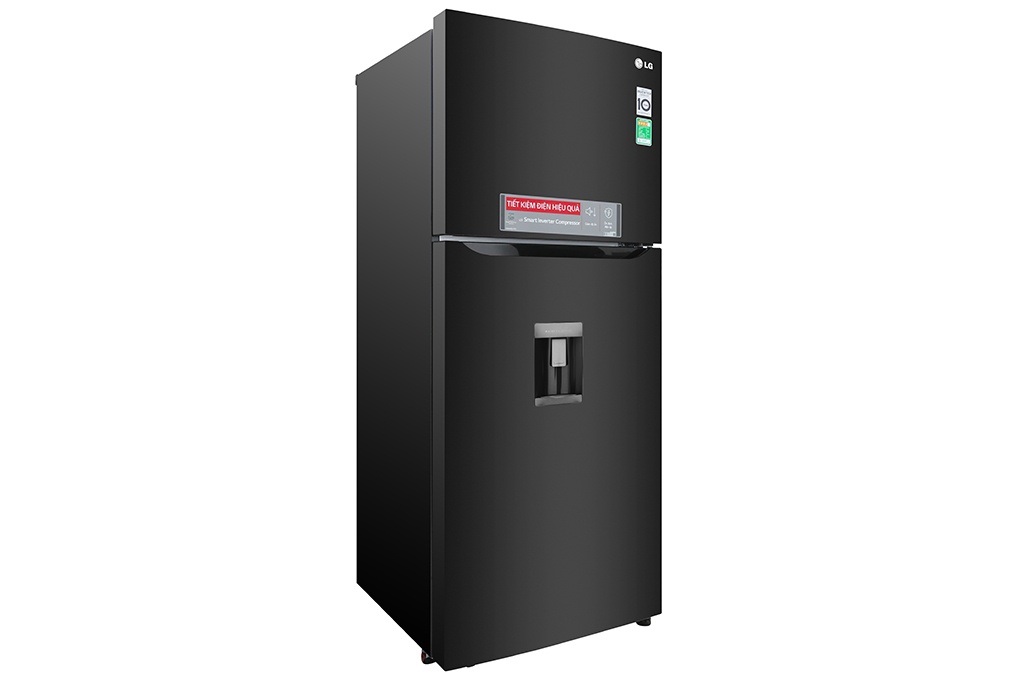 Tủ lạnh LG 393 lít GN-D422BL Smart Inverter