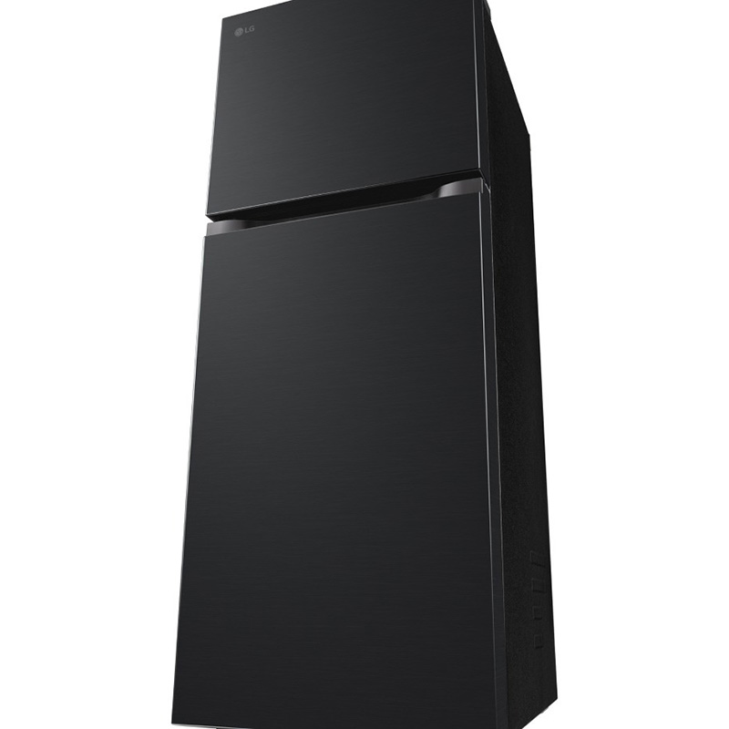 Tủ lạnh LG Inverter 217L LTB21BLMI