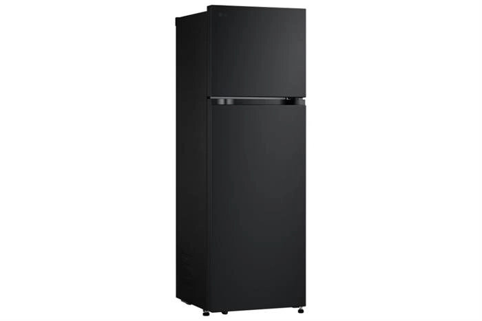 Tủ lạnh LG Inverter 266 lít LTB26BLM