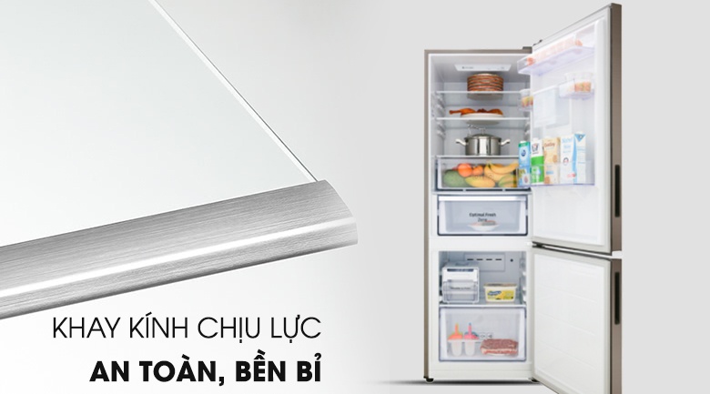 Tủ lạnh Samsung 307L RB30N4170DX/SV
