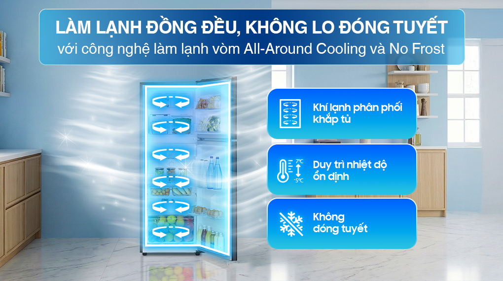 Tủ lạnh Samsung Inverter 236 Lít RT22M4032BU/SV
