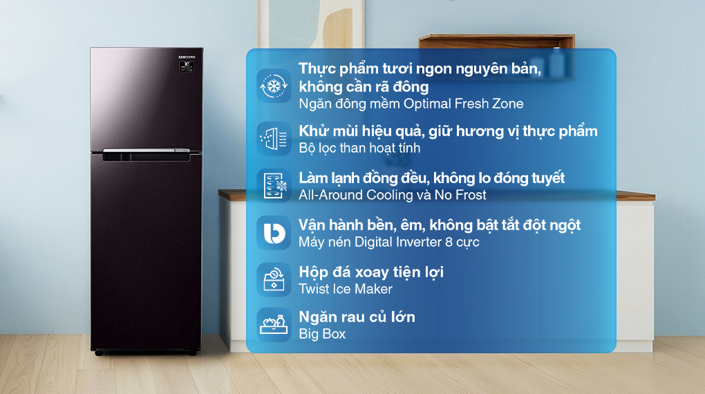 Tủ lạnh Samsung Inverter 236 Lít RT22M4032BU/SV